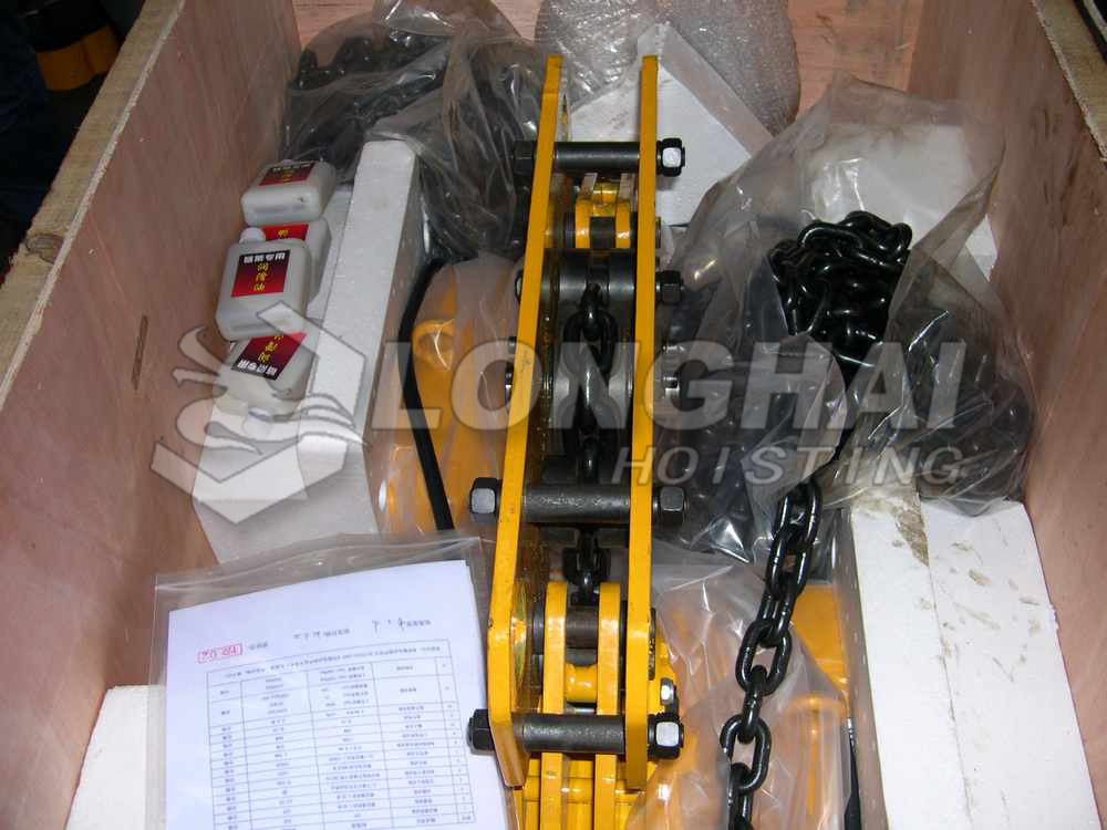 Packaged Low Headroom Electric Chain Hoist